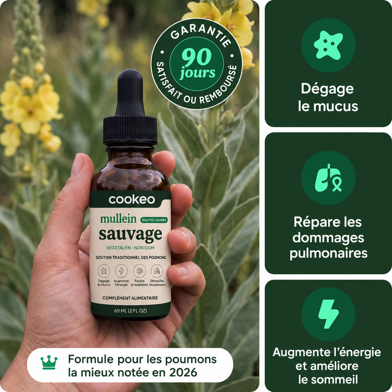 Cookeo Molène Sauvage
